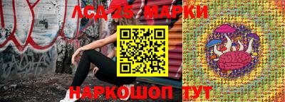 индика Краснодар