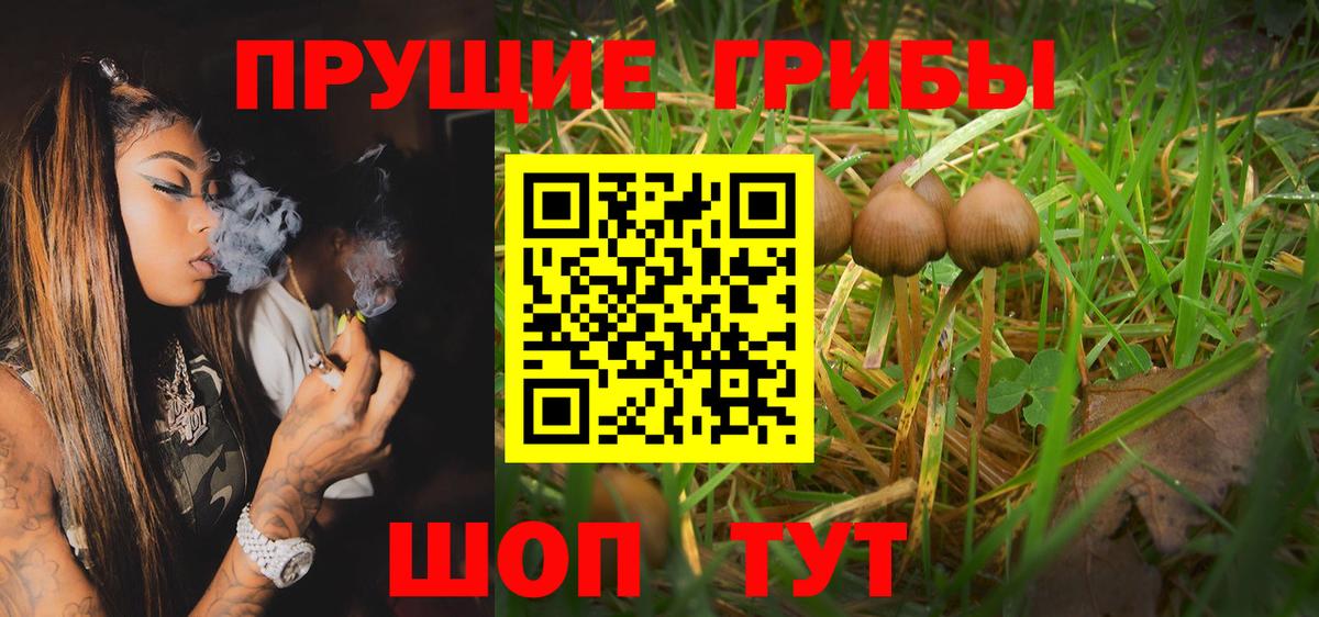 Унеча  Галлюциногенные грибы Psilocybe  Вход с VPN 