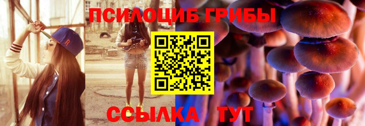 Галлюциногенные грибы ЛСД Унеча